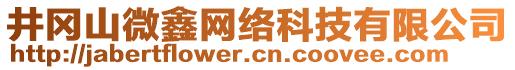 井岡山微鑫網(wǎng)絡科技有限公司