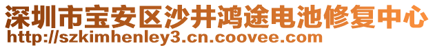 深圳市寶安區(qū)沙井鴻途電池修復(fù)中心