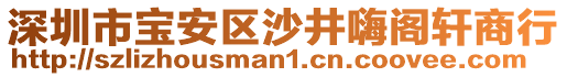 深圳市寶安區(qū)沙井嗨閣軒商行