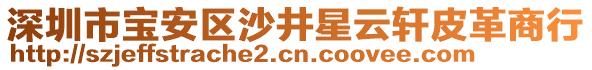 深圳市寶安區(qū)沙井星云軒皮革商行