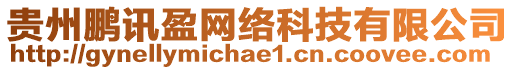 貴州鵬訊盈網(wǎng)絡(luò)科技有限公司