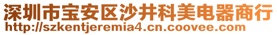 深圳市寶安區(qū)沙井科美電器商行