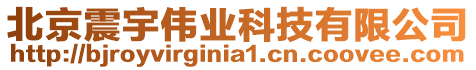 北京震宇偉業(yè)科技有限公司