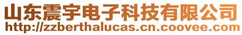 山東震宇電子科技有限公司