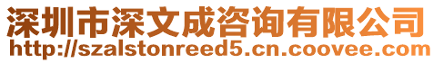 深圳市深文成咨詢有限公司