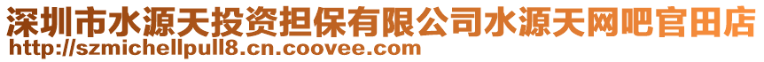 深圳市水源天投資擔(dān)保有限公司水源天網(wǎng)吧官田店