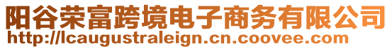 陽(yáng)谷榮富跨境電子商務(wù)有限公司