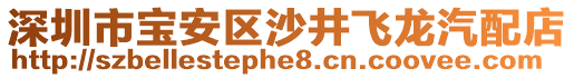 深圳市寶安區(qū)沙井飛龍汽配店