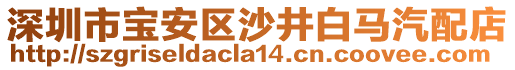 深圳市寶安區(qū)沙井白馬汽配店