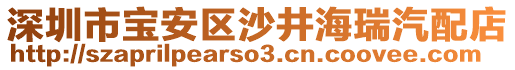 深圳市寶安區(qū)沙井海瑞汽配店