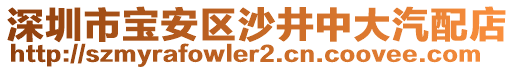 深圳市寶安區(qū)沙井中大汽配店