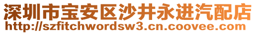 深圳市寶安區(qū)沙井永進(jìn)汽配店