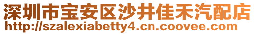 深圳市寶安區(qū)沙井佳禾汽配店