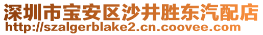 深圳市寶安區(qū)沙井勝東汽配店