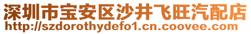 深圳市寶安區(qū)沙井飛旺汽配店