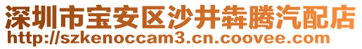 深圳市寶安區(qū)沙井犇騰汽配店