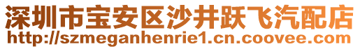 深圳市寶安區(qū)沙井躍飛汽配店