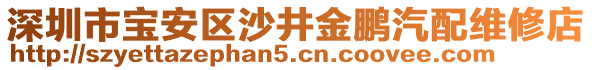 深圳市寶安區(qū)沙井金鵬汽配維修店