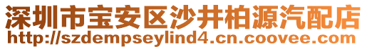 深圳市寶安區(qū)沙井柏源汽配店