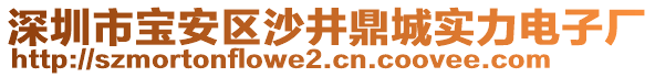 深圳市寶安區(qū)沙井鼎城實力電子廠