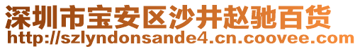 深圳市寶安區(qū)沙井趙馳百貨