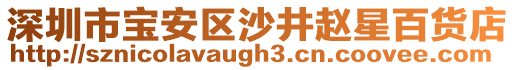 深圳市寶安區(qū)沙井趙星百貨店