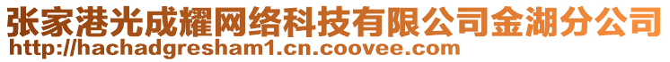 张家港光成耀网络科技有限公司金湖分公司