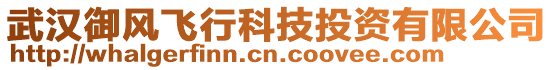 武漢御風飛行科技投資有限公司