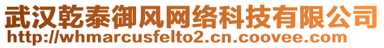 武漢乾泰御風(fēng)網(wǎng)絡(luò)科技有限公司