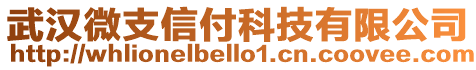 武漢微支信付科技有限公司