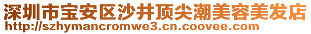 深圳市寶安區(qū)沙井頂尖潮美容美發(fā)店