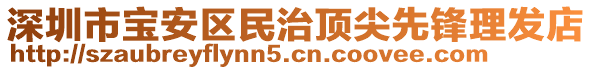 深圳市宝安区民治顶尖先锋理发店