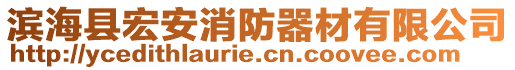 滨海县宏安消防器材有限公司