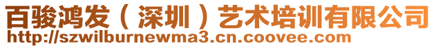 百駿鴻發(fā)（深圳）藝術(shù)培訓(xùn)有限公司