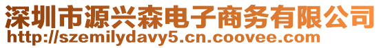 深圳市源興森電子商務(wù)有限公司