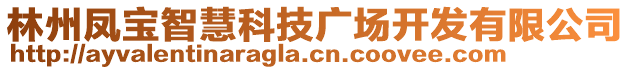 林州鳳寶智慧科技廣場開發(fā)有限公司