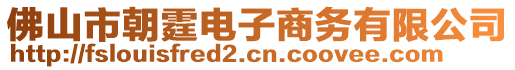 佛山市朝霆電子商務(wù)有限公司