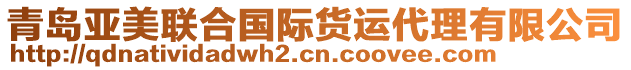 青島亞美聯(lián)合國(guó)際貨運(yùn)代理有限公司