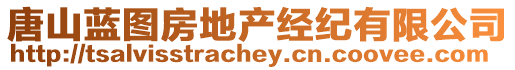 唐山藍(lán)圖房地產(chǎn)經(jīng)紀(jì)有限公司