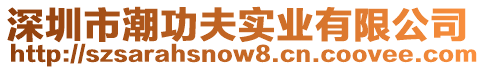 深圳市潮功夫?qū)崢I(yè)有限公司