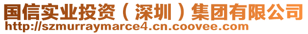 國信實業(yè)投資（深圳）集團有限公司