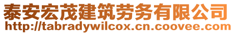 泰安宏茂建筑勞務(wù)有限公司