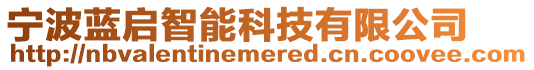 寧波藍(lán)啟智能科技有限公司