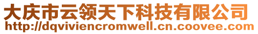 大慶市云領(lǐng)天下科技有限公司