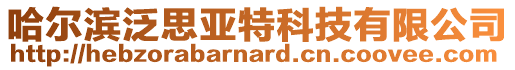 哈爾濱泛思亞特科技有限公司