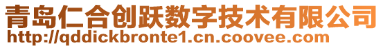 青島仁合創(chuàng)躍數(shù)字技術(shù)有限公司