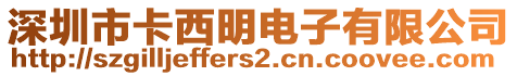 深圳市卡西明電子有限公司