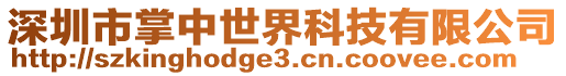 深圳市掌中世界科技有限公司