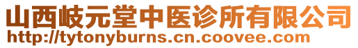 山西岐元堂中醫(yī)診所有限公司