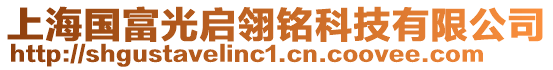 上海国富光启翎铭科技有限公司